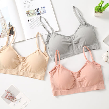 Comfort Basic Bra 070-CA2268